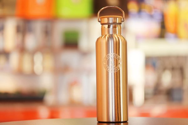 Stainless Steel Travel Bottle